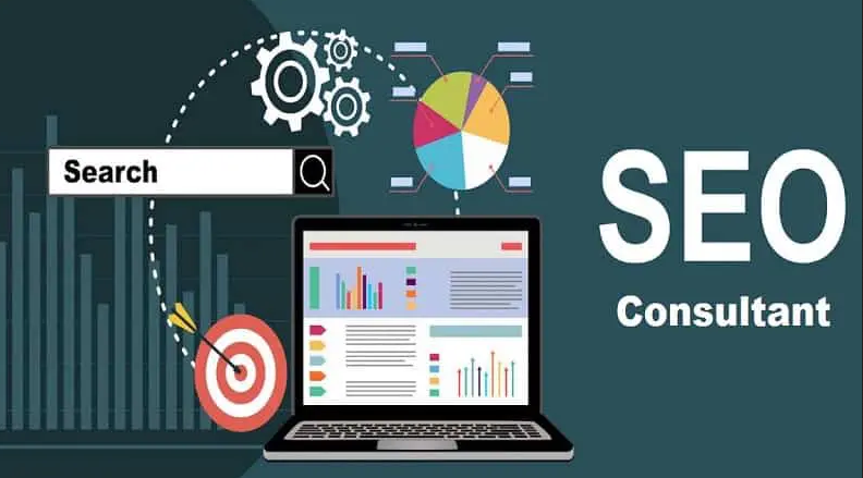hire seo expert from india
