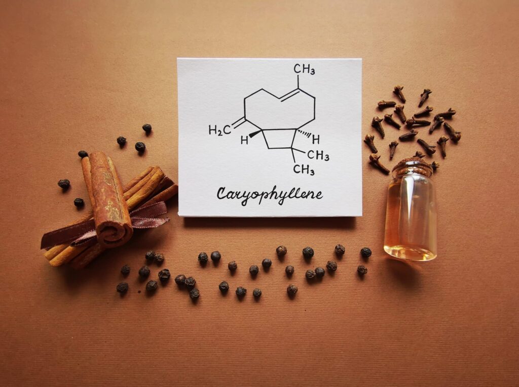 Caryophyllene Effects