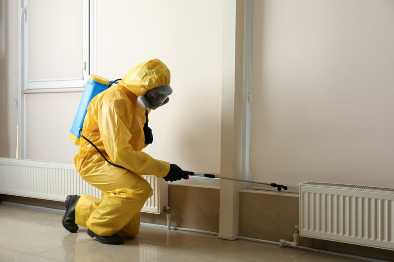 pest control company in Winnipeg
