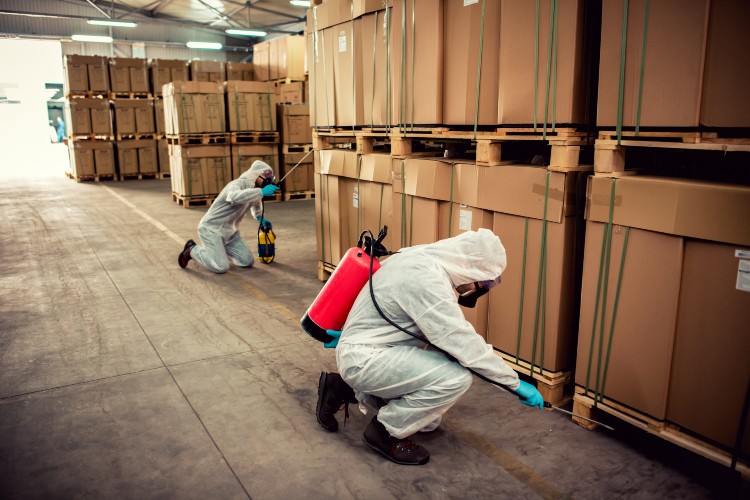 commercial pest control in Winnipeg